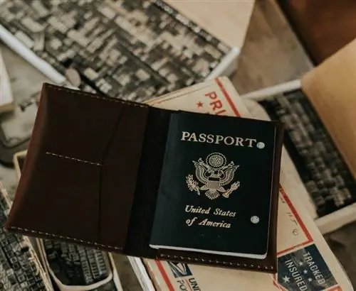 жить как кочевник паспорт