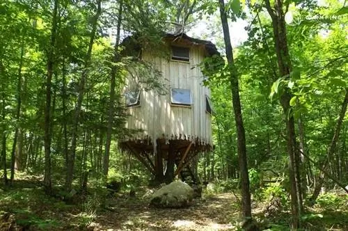 Глэмпинг в Канаде - отдых в домике на дереве в Квебеке
