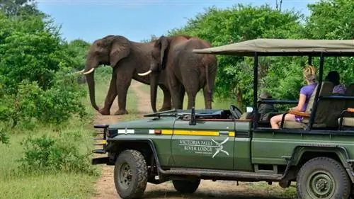 Американку похитили в Уганде во время сафари