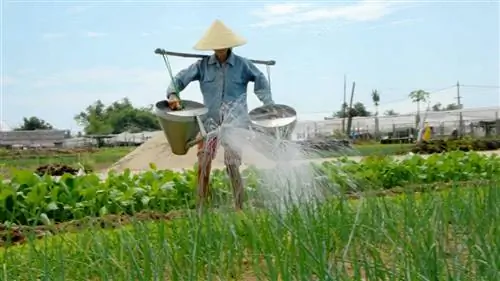 Развлечения в Хойане Tra Que Herb Village