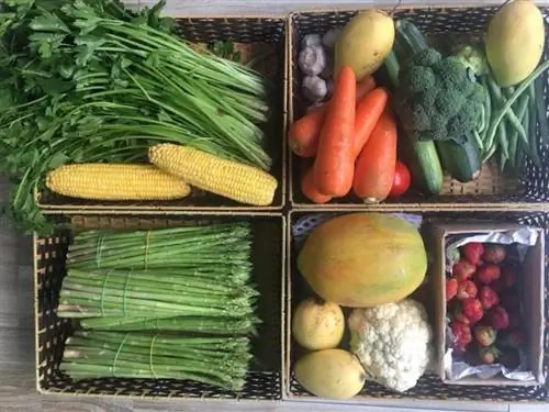 Доставка свежих фруктов в Хойан - доставка продуктов