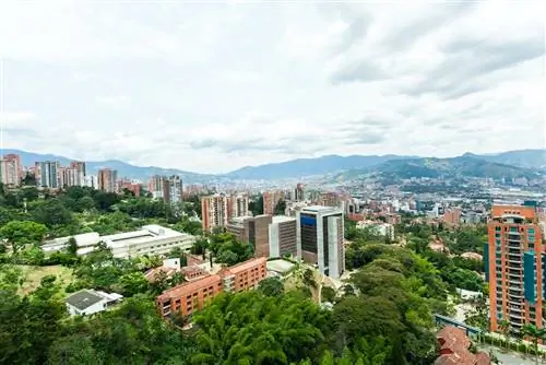 Переезд в Медельин – повседневная жизнь эмигрантов, культурный шок и чего ожидать