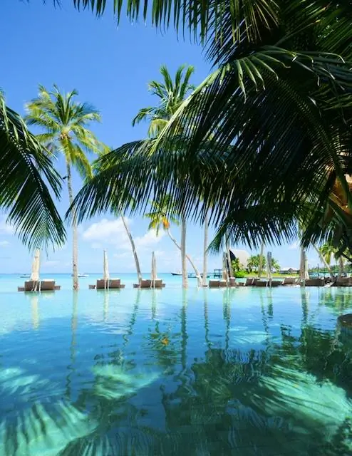 правила отпуска на месте Багамы