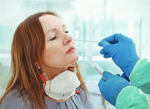 сдать ПЦР-тест в аэропорту