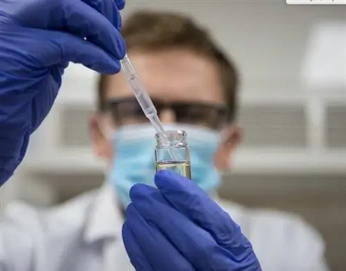 Великобритания, Англия, тест на ковид