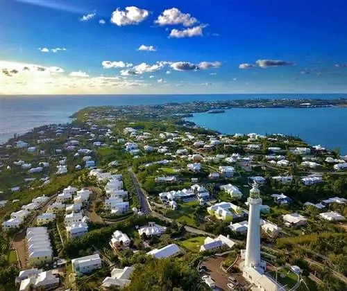 Виза цифрового кочевника на Бермудские острова