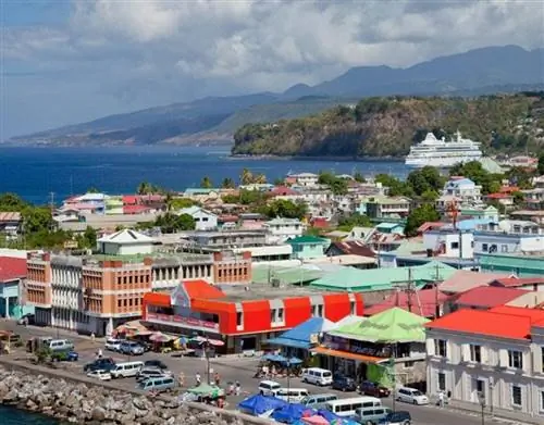 Розо Доминика