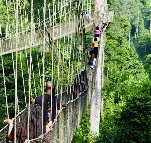Национальный парк Какум в Гане - вновь открыт для туризма