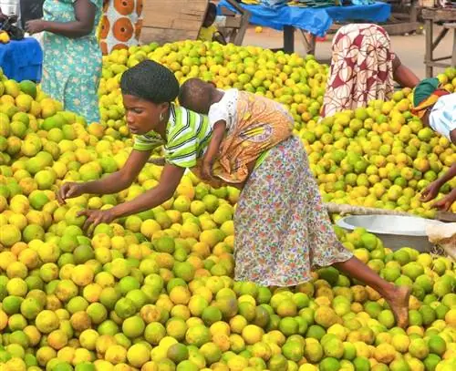 Рынок в Эсиаме, Гана