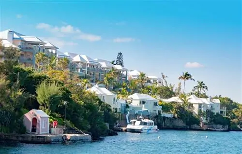 Путешественники из США, посещающие Бермудские острова, теперь могут получить наборы для тестирования в Costco