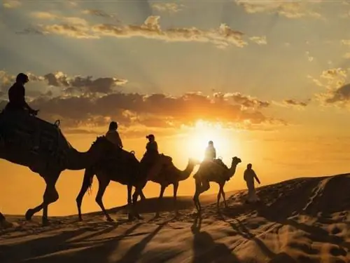 Требования для въезда в Абу-Даби