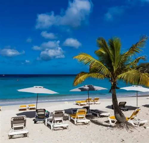 тропический Кюрасао