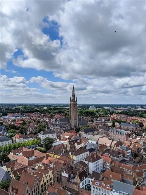 Бельгия вновь открылась