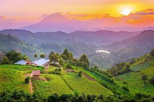 Уганда вновь открылась для туризма – все, что вам нужно знать