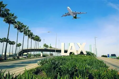 LAX предлагает путешественникам 3-часовые результаты ПЦР-теста