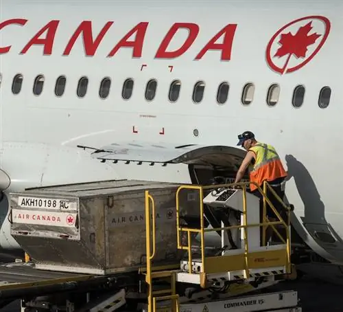 Обработчик багажа загружает багаж в самолет Air Canada Airbus