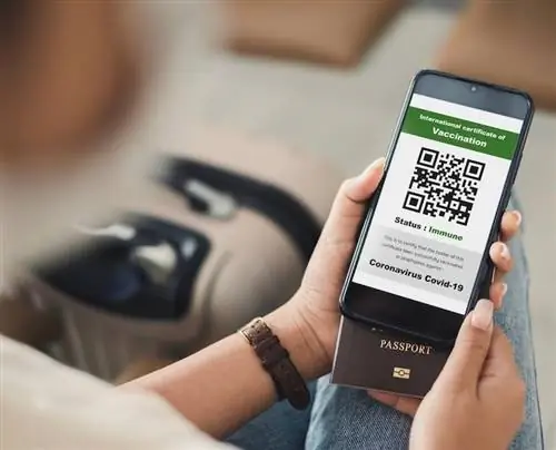 цифровой паспорт вакцины путешественника