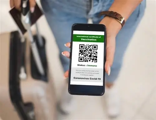 Паспорт здоровья о вакцинации по телефону в аэропорту