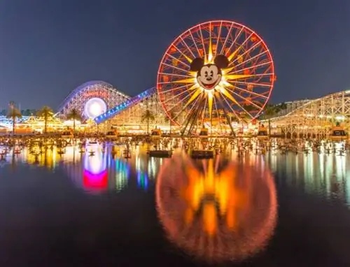 колесо обозрения дисней