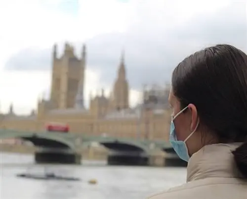 маска путешественника Лондон Англия