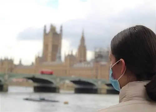 Великобритания представляет обязательную форму туристической декларации