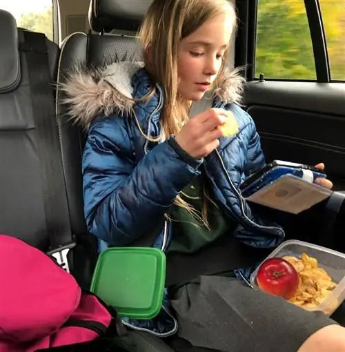 закуски в машине