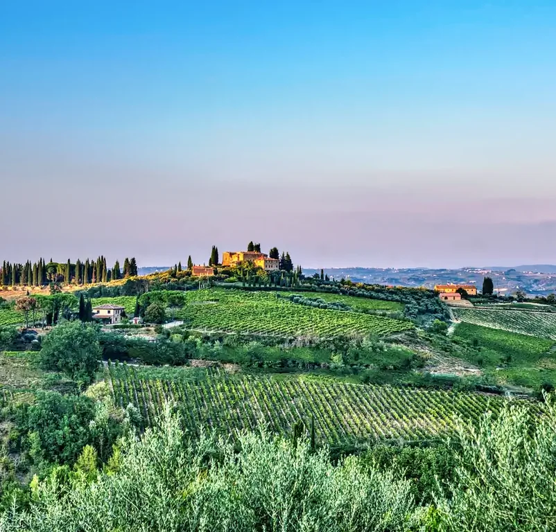 Поля Тосканы