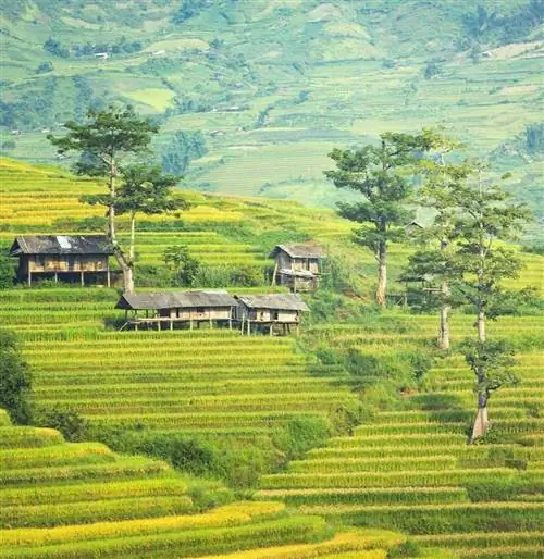 Бали-Традиционный дом на рисовом поле