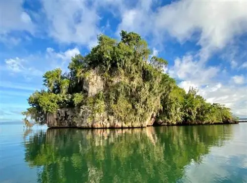 карстовая скала Карибское море