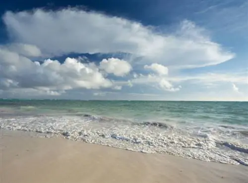 Пунта-Кана, Доминиканская Республика