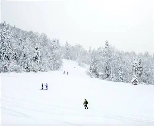 Горнолыжный туризм в Черногории