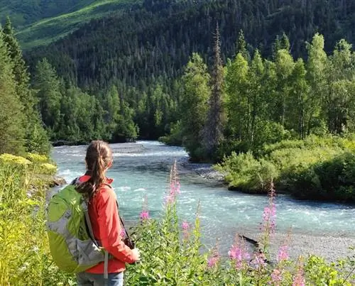 туристический поход по Аляске