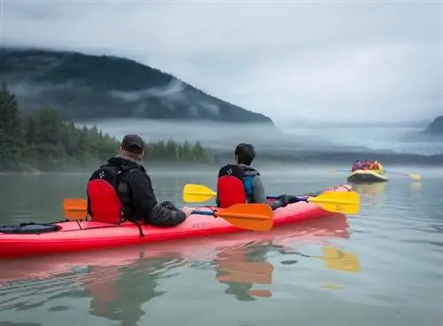 каякинг в Джуно, Аляска