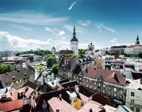 Виза цифрового кочевника Эстонии