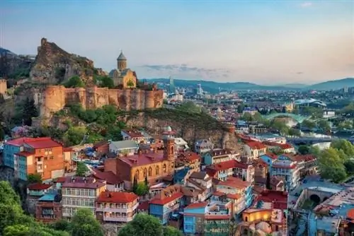 Грузия «дистанционно из Грузии» виза цифрового кочевника