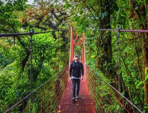 Страховка, которая соответствует требованиям для въезда в Коста-Рику в 2021 году.