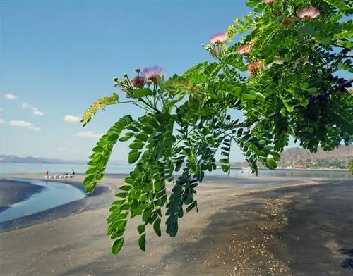 пляжи откроются в Коста-Рике в 2021 году