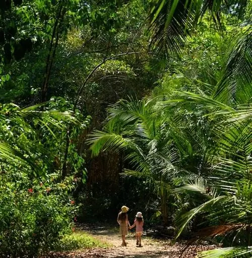 джунгли Коста-Рики