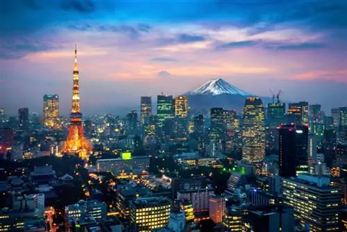 Международным зрителям запретили посещать Олимпийские игры в Токио