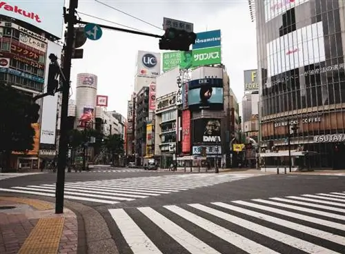 Токийский карантин пуст