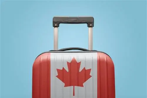 Canadian Airlines делает ставку на возобновление путешествий с 1 мая