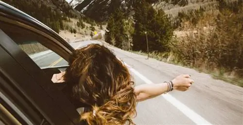 женщины вытаскивают руку из машины во время поездки