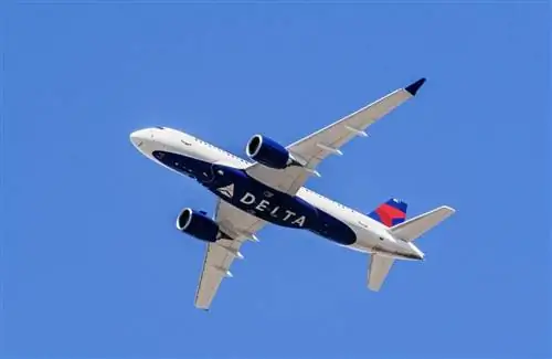 Дельта-самолет в небе