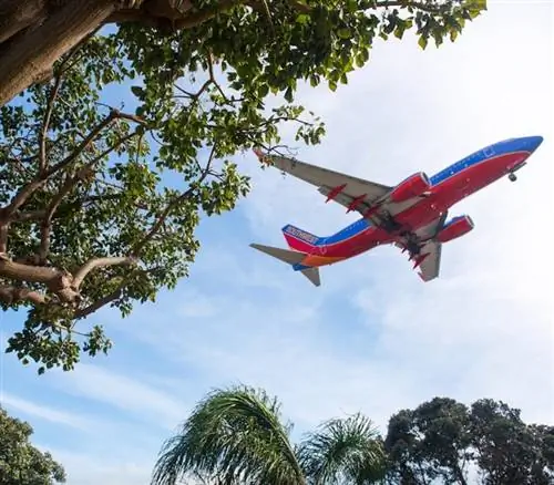 Юго-западное плоское небо