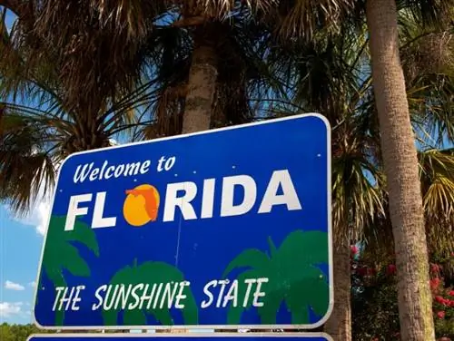 добро пожаловать во Флориду