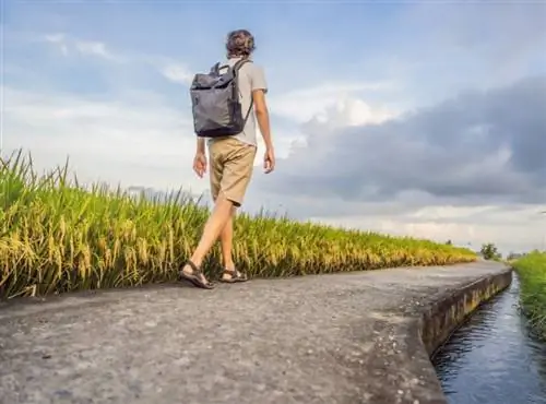 туристический рюкзак рисовое поле рисовые поля бали
