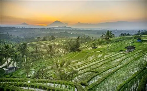 Бали планирует в июле возобновить туризм, поскольку внедрение вакцины ускоряется