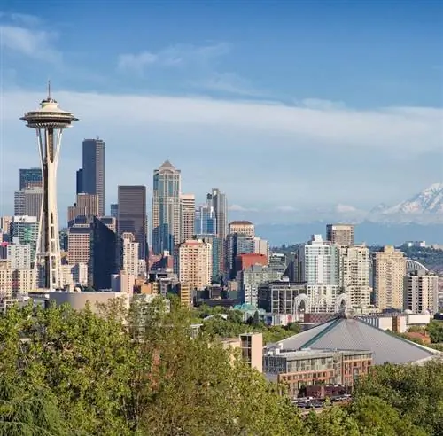 Горизонт Сиэтла