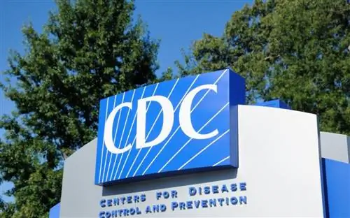 CDC заявляет, что вакцинированные американцы могут безопасно путешествовать по США и за границу