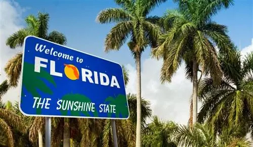 Губернатор Флориды издал указ, запрещающий выдачу паспортов с вакцинами